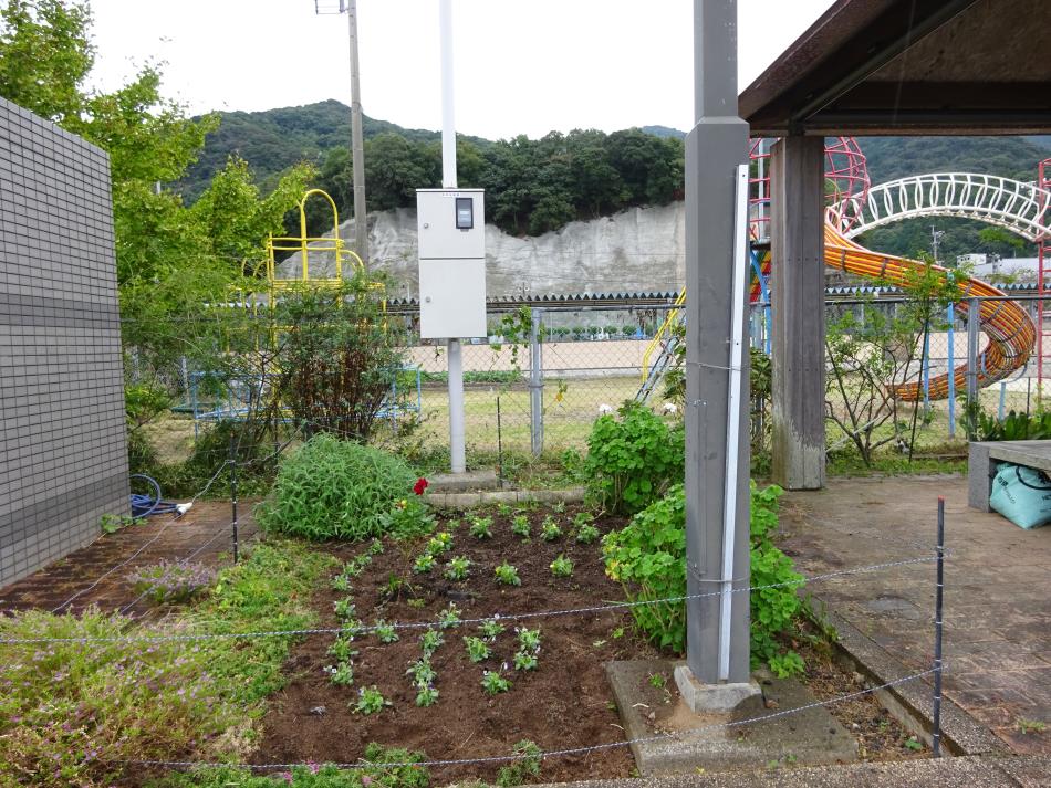 花壇整備活動