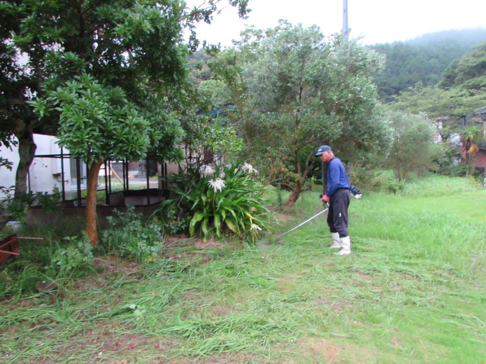 清掃作業