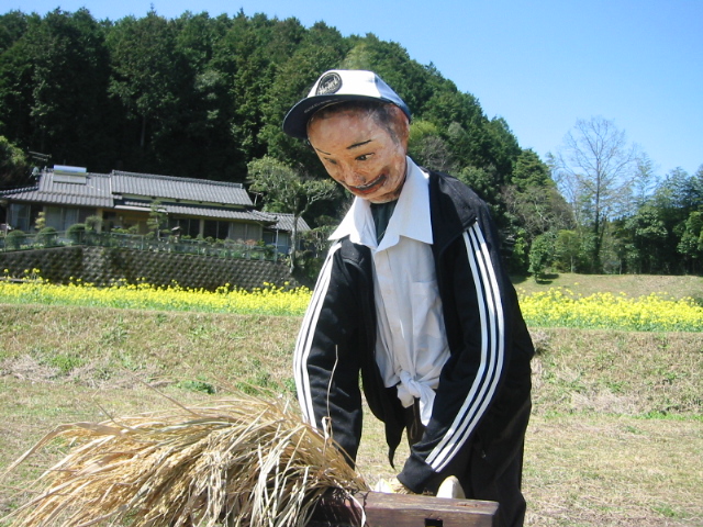 かかし