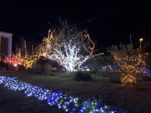 イルミネーション点灯式