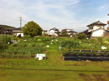 貸し農園