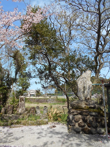 益田と桜