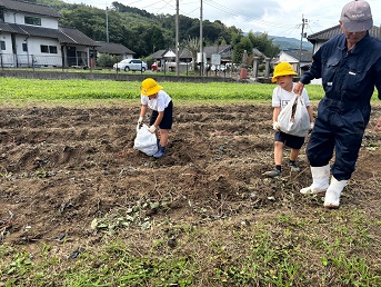 お土産芋