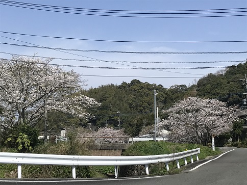 令和5年三叉路