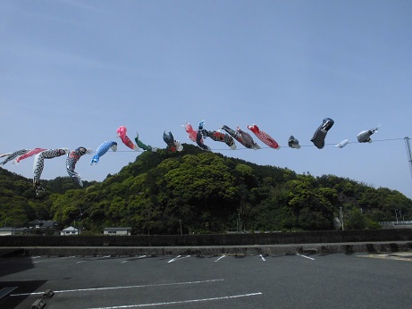 鯉のぼり　２０１８　７