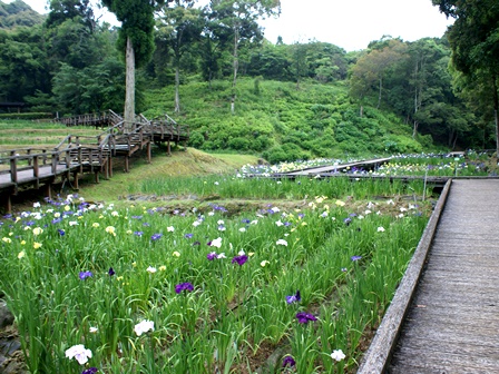 DSC02769