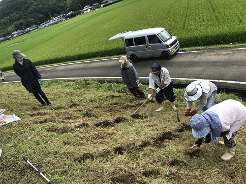球根の穴掘り