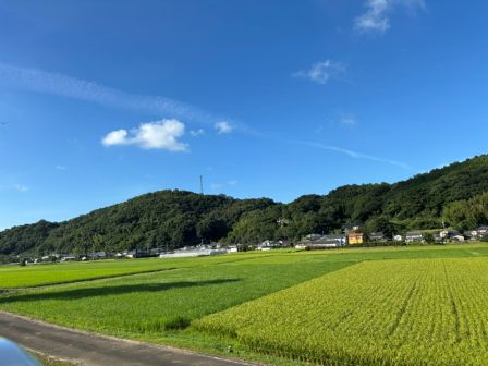 田舎の空気