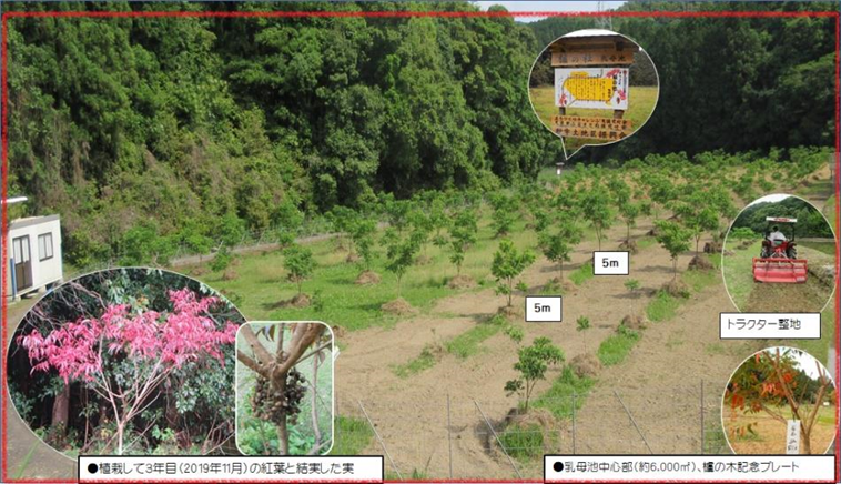 枦宇土３（縮小760×436）