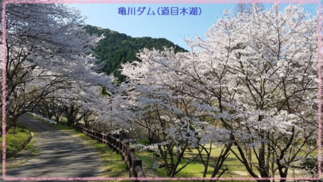 枦宇土２（縮小468×264）