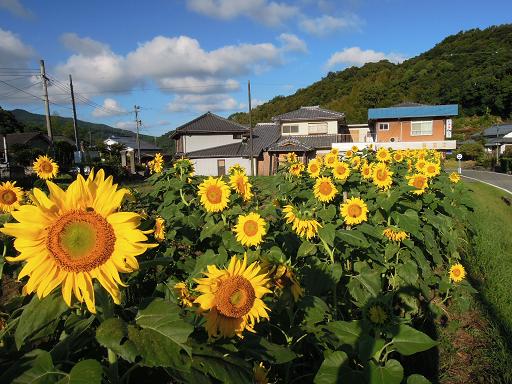 １０月２日