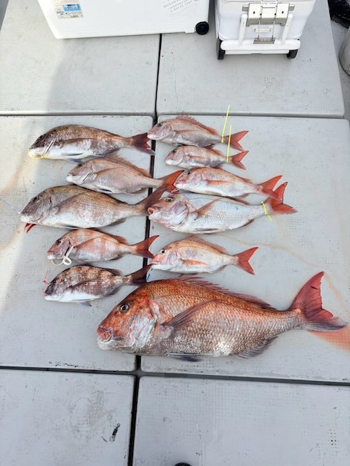 ディープタイラバ