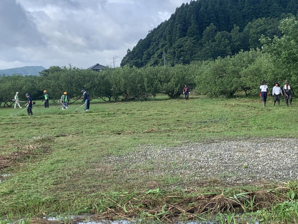 「はまぼう群生地」ボランティア除草作業を実施！