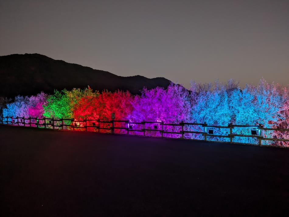 はまぼう群生地側全体