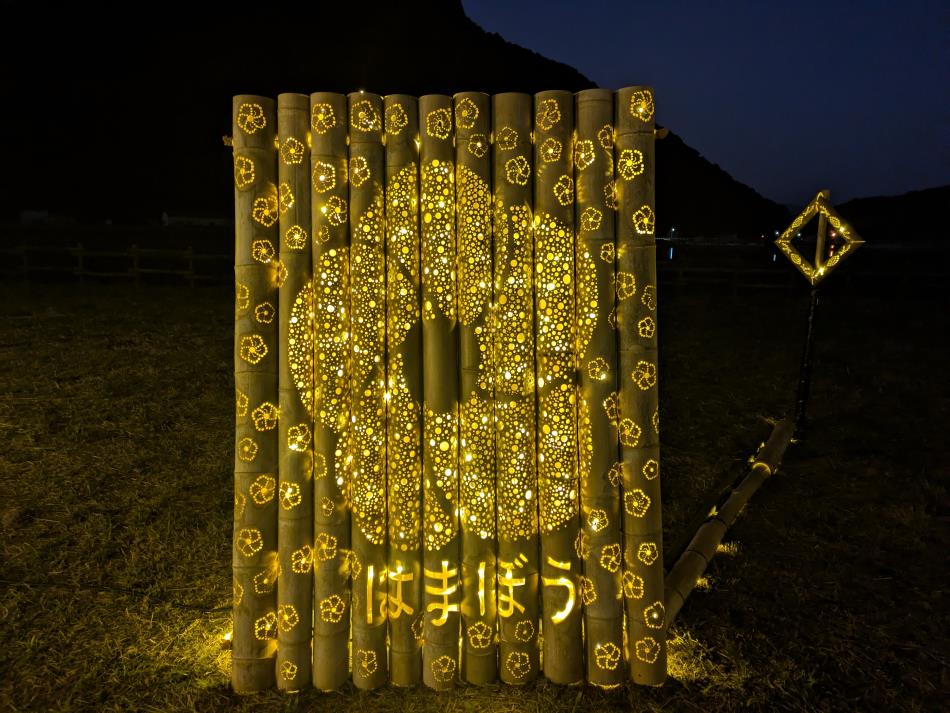 竹灯籠とイルミネーションのコラボ✨です。