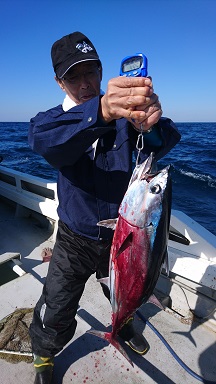 18 11 6 カツオ釣り 釣果情報 釣り船 竜宝丸