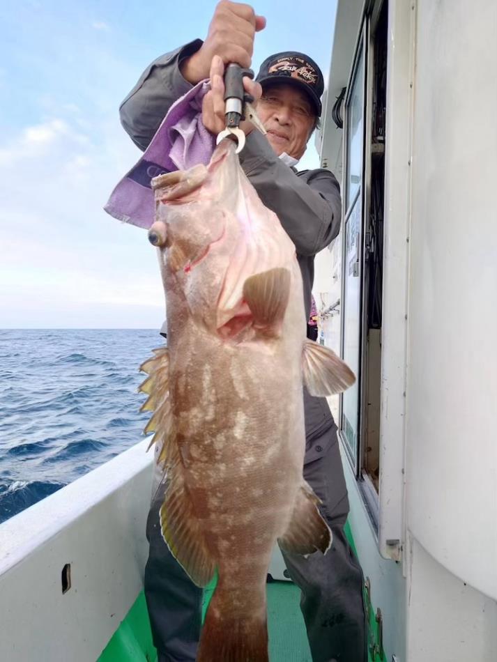 水イカの泳がせ