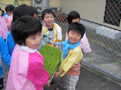 田植え１