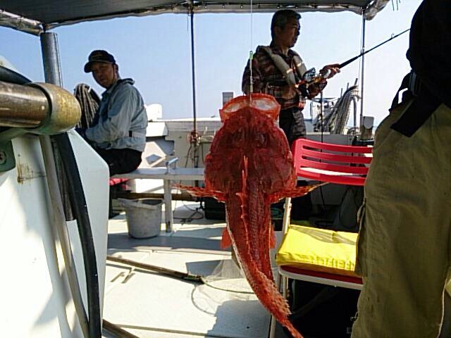 アジ泳がせ釣り