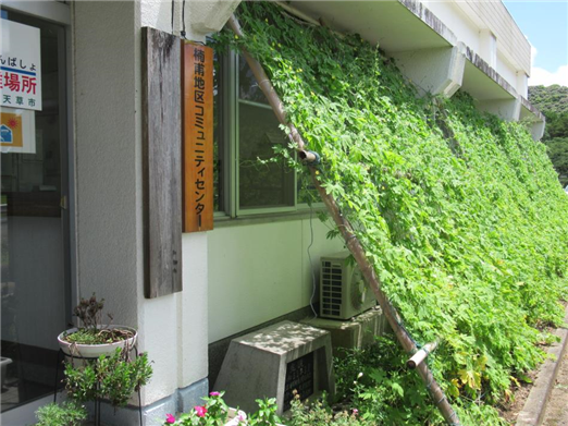 グリーンカーテン