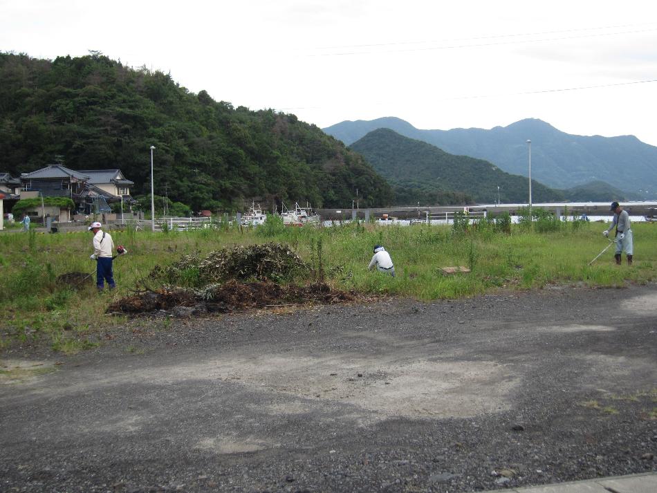 一日一汗運動