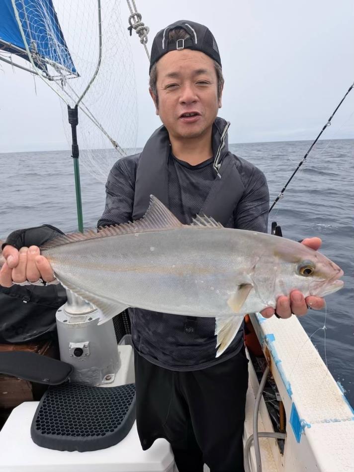 落とし込み