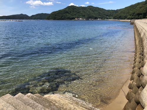 海水浴場