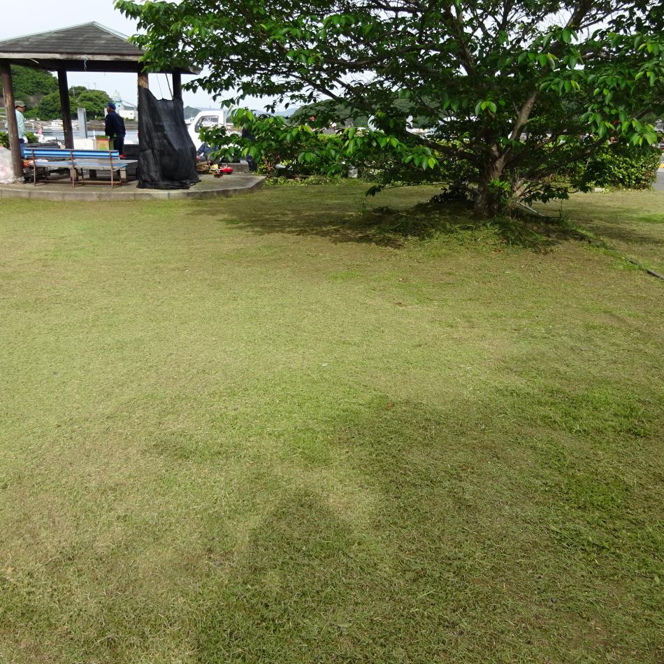 清掃活動