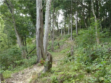 中田５