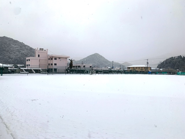 R030108　高浜雪化粧（天中G）