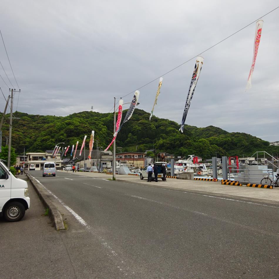 こいのぼり設置