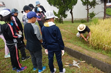 刈り方指導