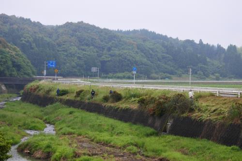 20190602河川清掃3