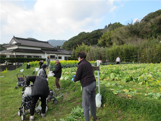 野菜3