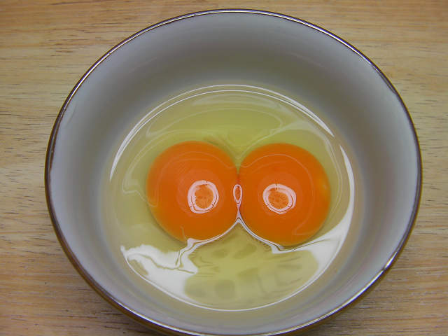 ふたごの卵