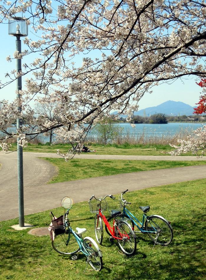 3bikes at the park