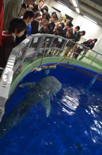 送別遠足