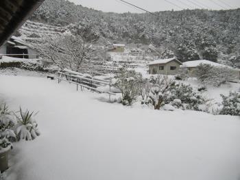 大雪２