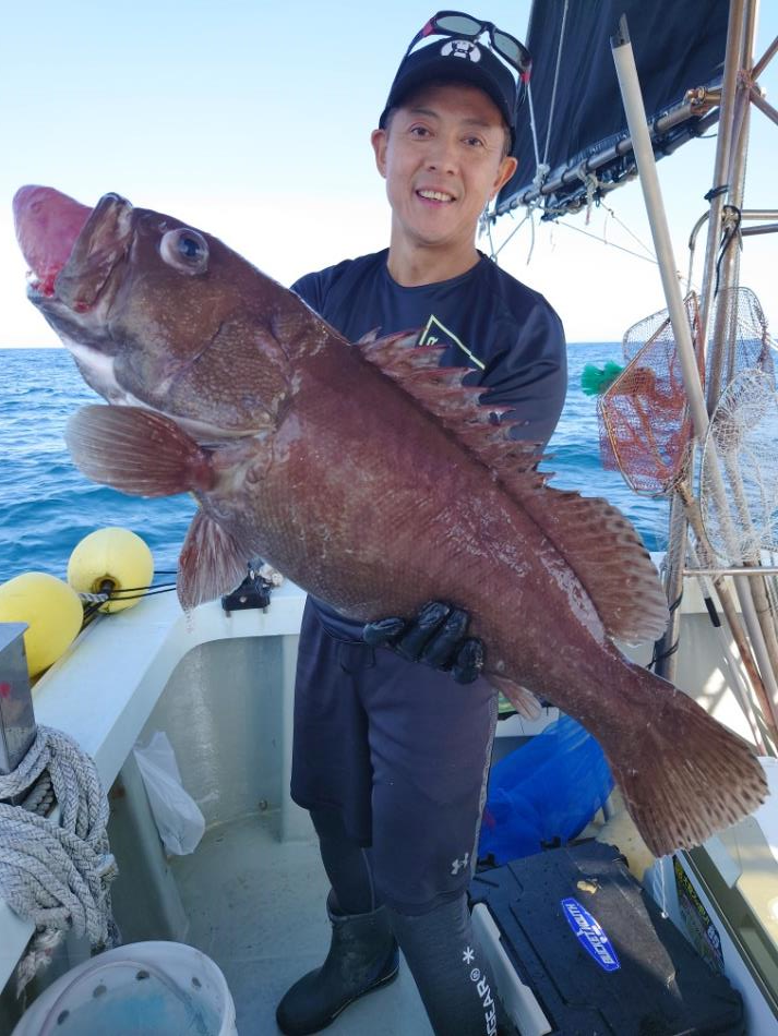アジ泳がせと切り身釣り