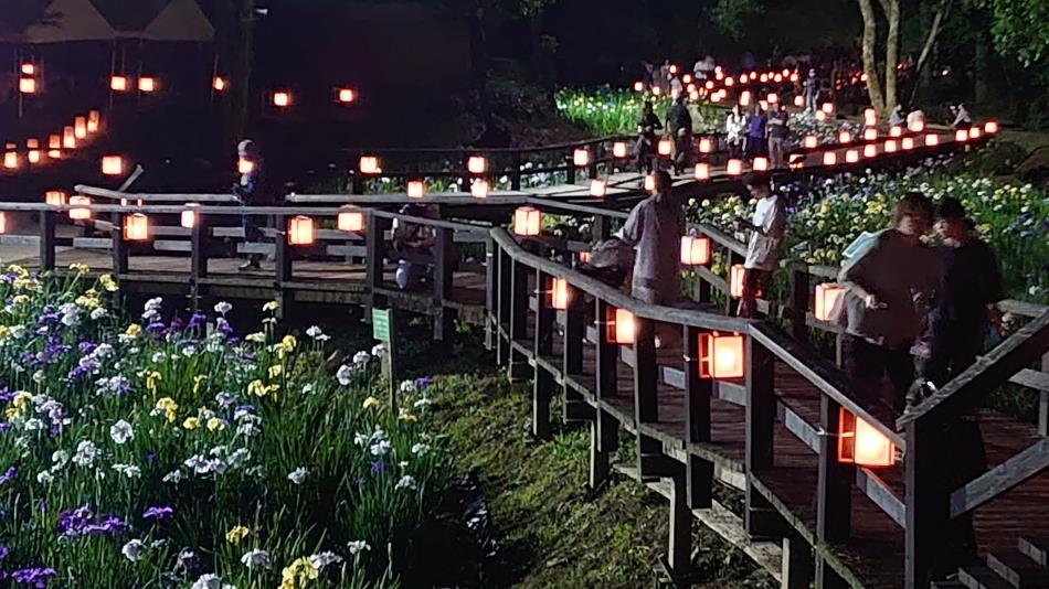 ライトアップ（R6）