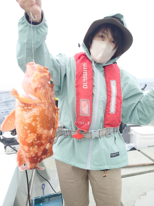 サバ子泳がせ釣り