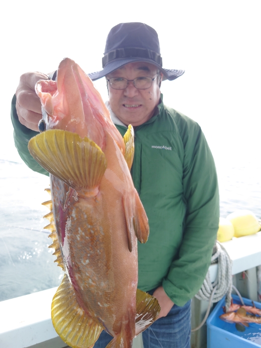 サバ子泳がせ釣り