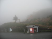 IMG_8907-1.jpg