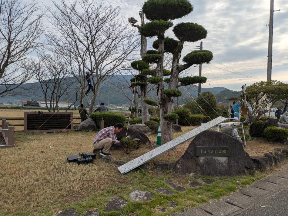 20251102イルミネーション設置作業 (3)