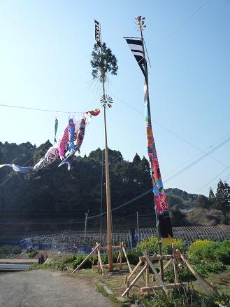 貴重な鯉のぼり.JPG