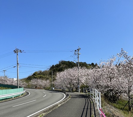 令和5年有明中