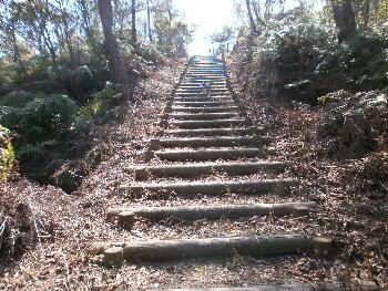 観海アルプス散歩階段②