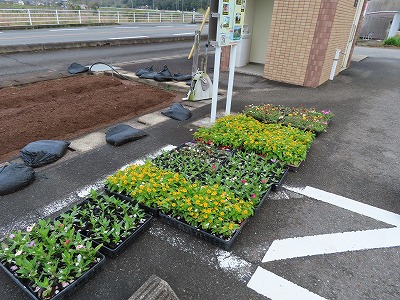 「春の花いっぱい運動」を実施