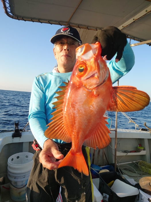 アジ泳がせと切り身釣り