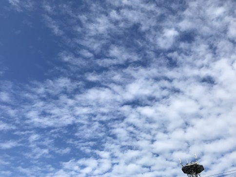 空1月